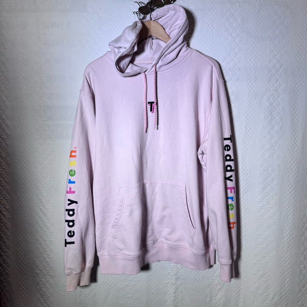 Teddy Fresh Pink Hoodie Large